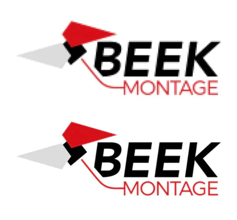 Vettorializzare il logo